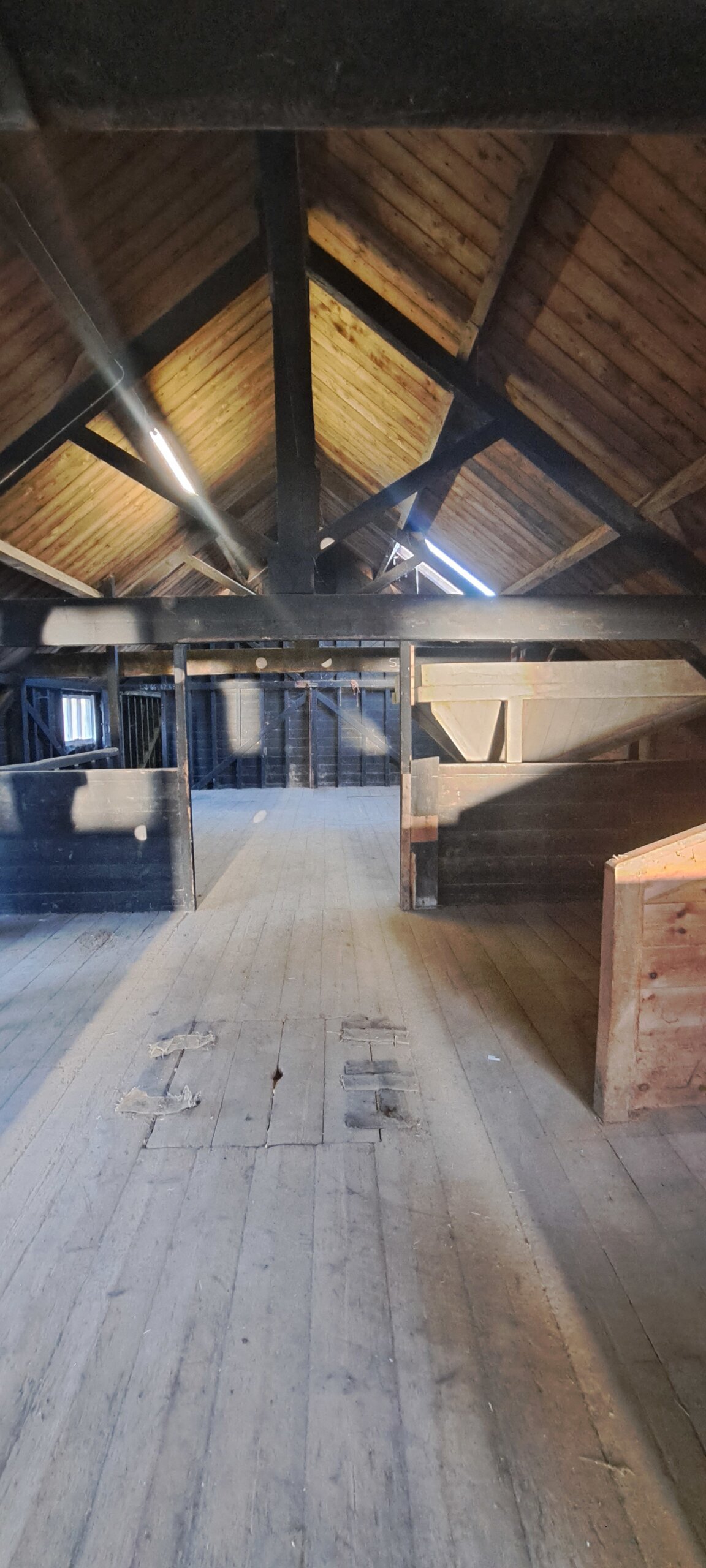 16616329-f569-4e1c-93a9-b5c317903197