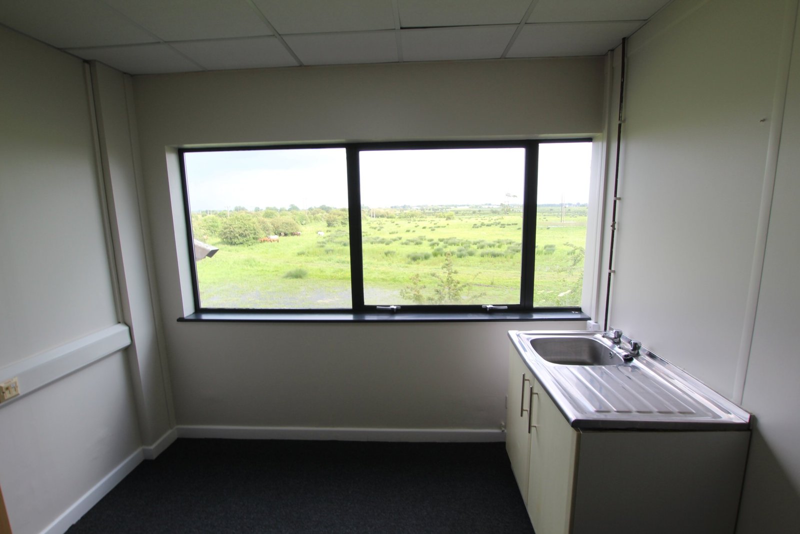 1e2c401d-4d1d-4edc-b417-d13aef539b62