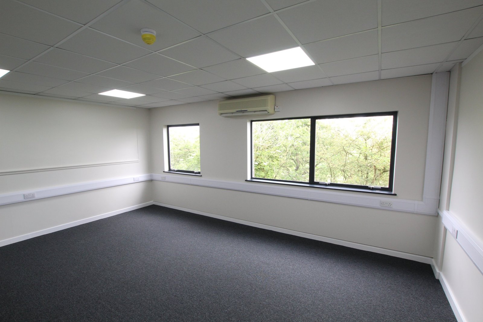 655cb46e-7d82-4265-b162-af641ba3c218