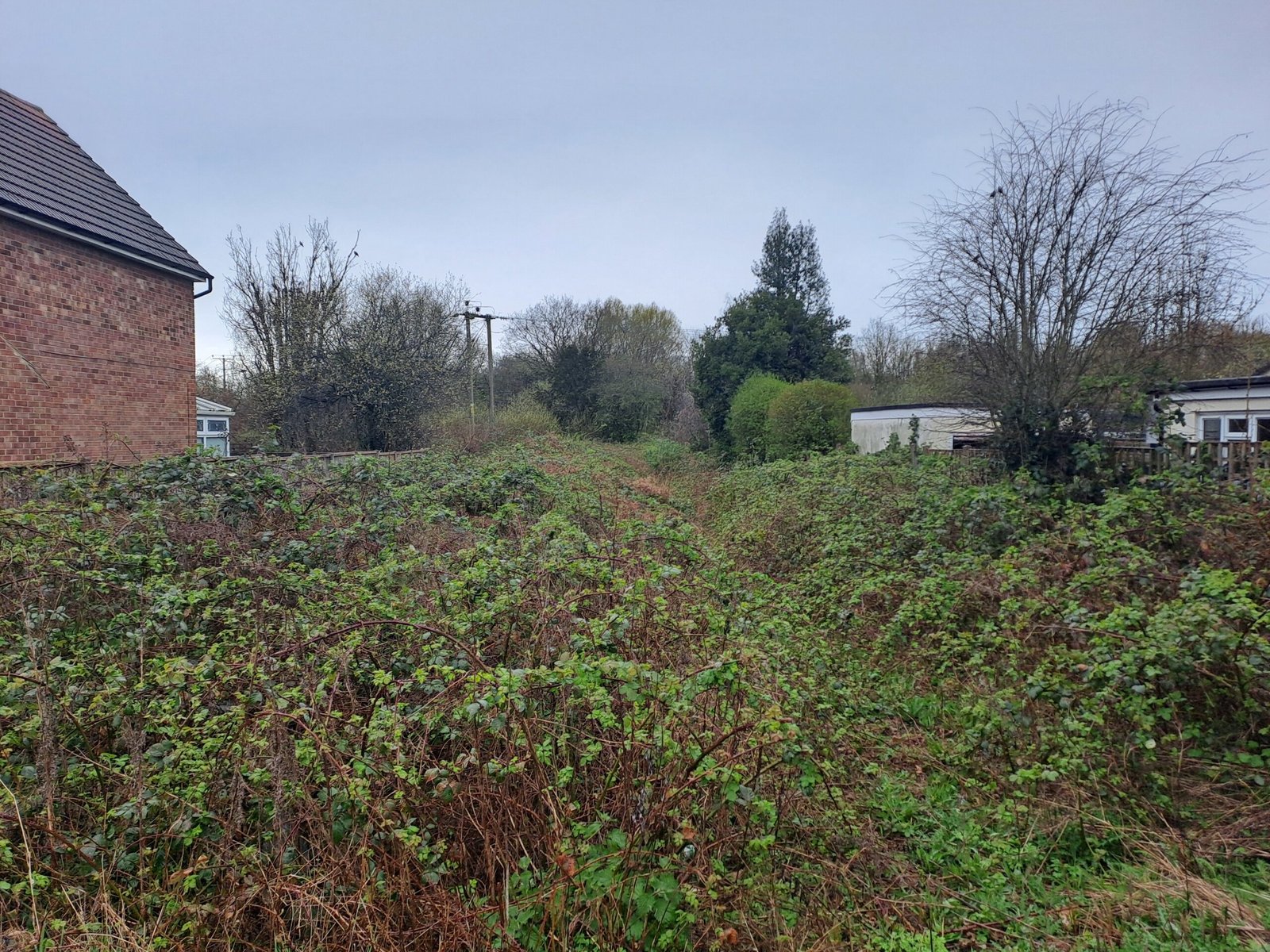 82ecc268-ca93-471d-95d9-b077a6dbe5d3