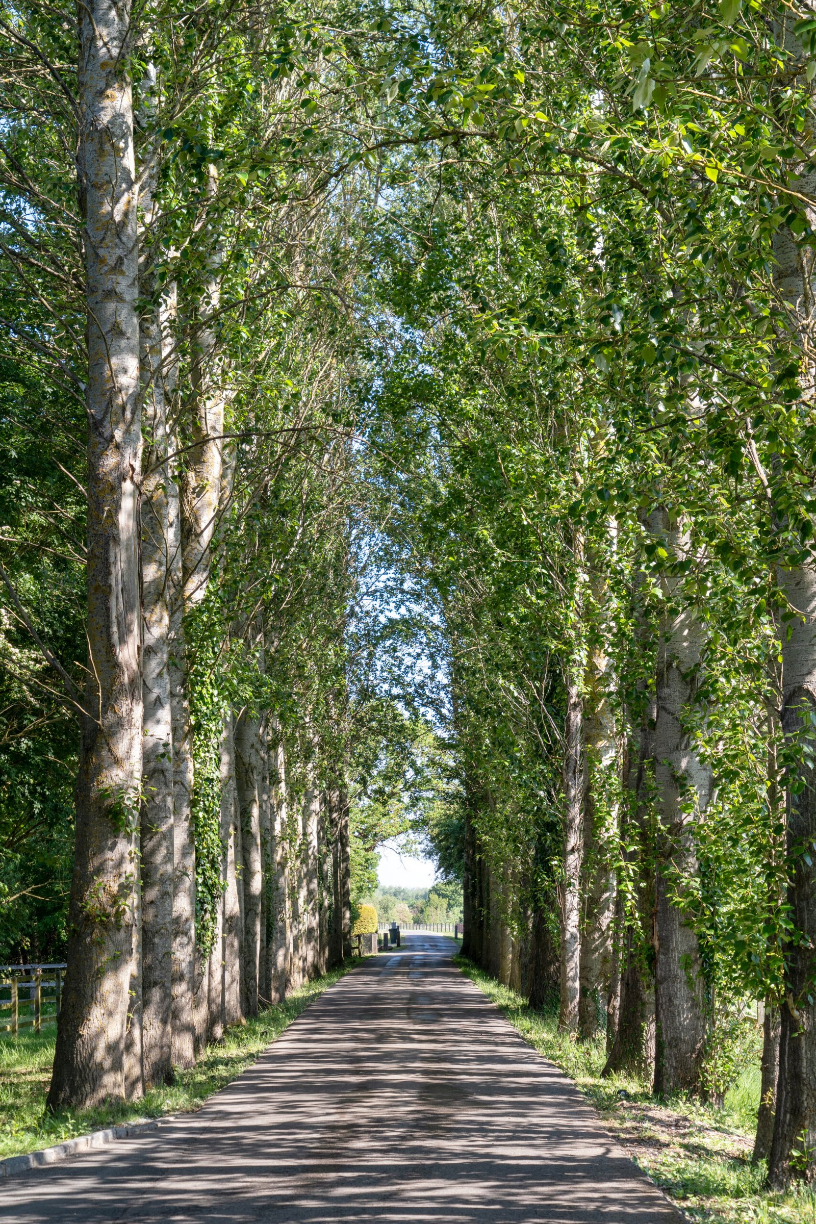 bfce3930-3e4c-4d38-b580-33992642a45f