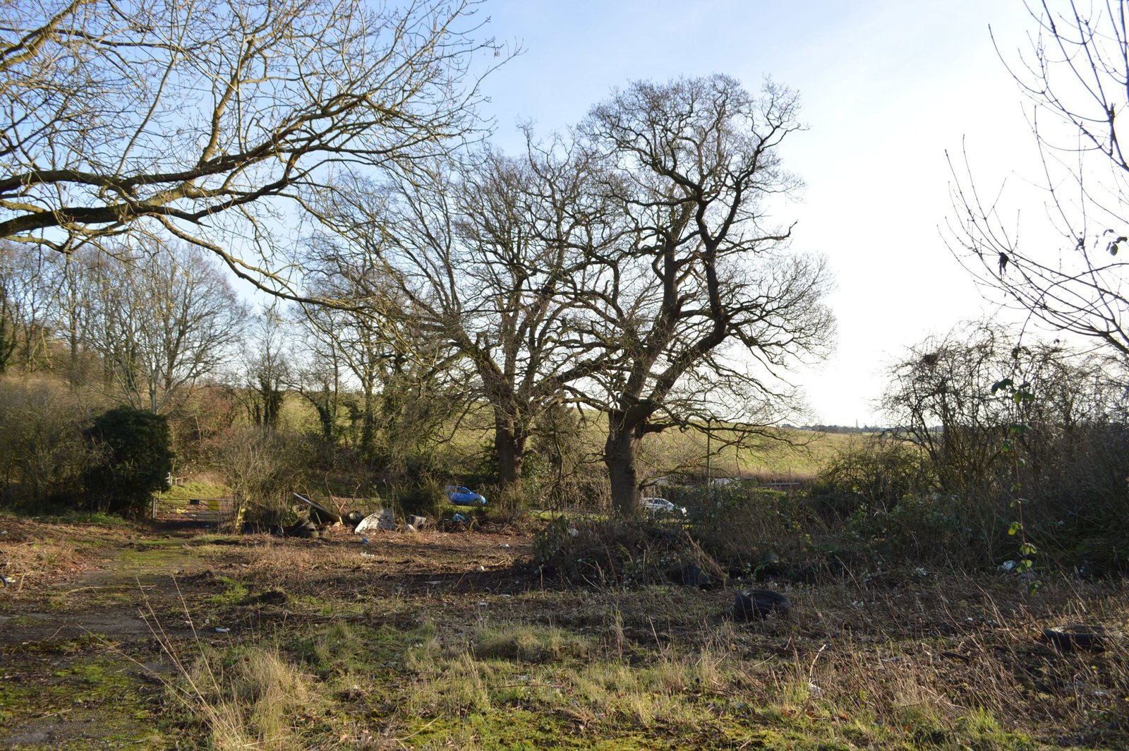 d3e68bf1-55e2-43ca-937e-b14c304685dc