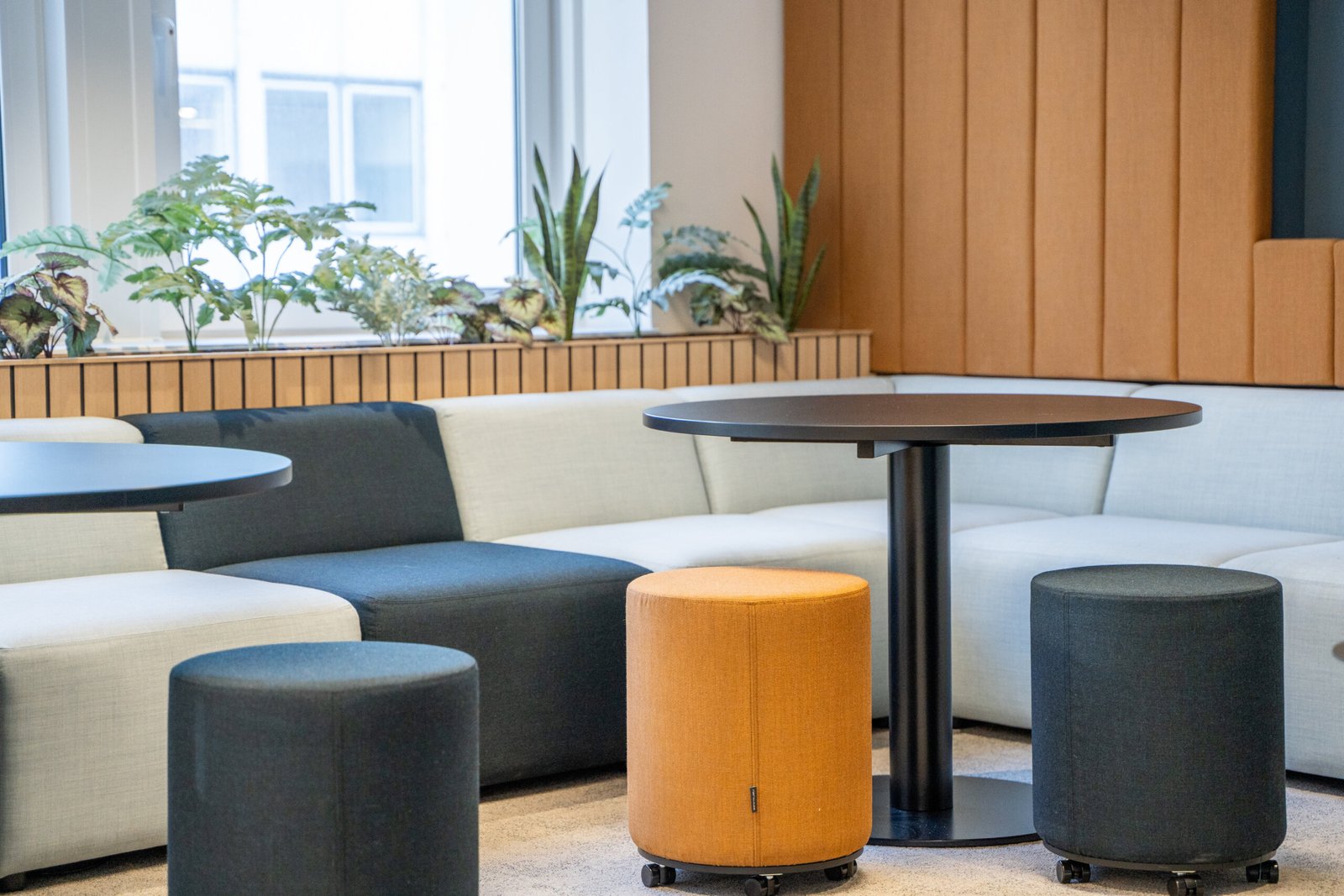 db135a9a-562b-4304-ab12-363c0eb40657