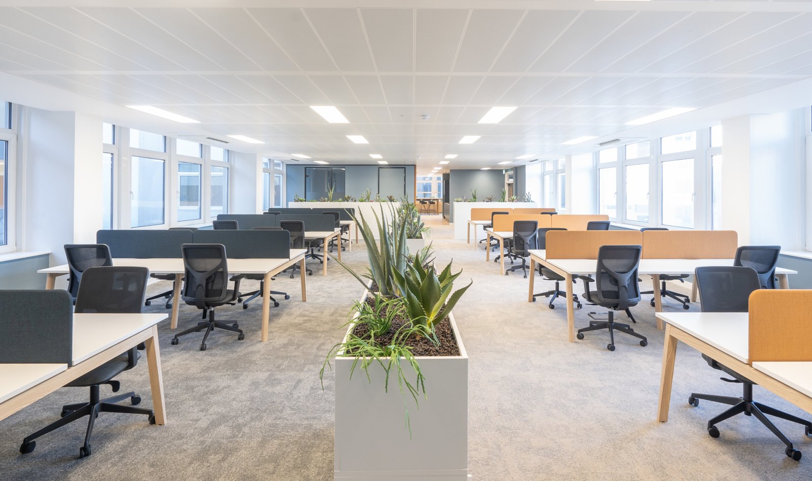 ea506acb-c36d-42e8-8b67-f32b22a693f8