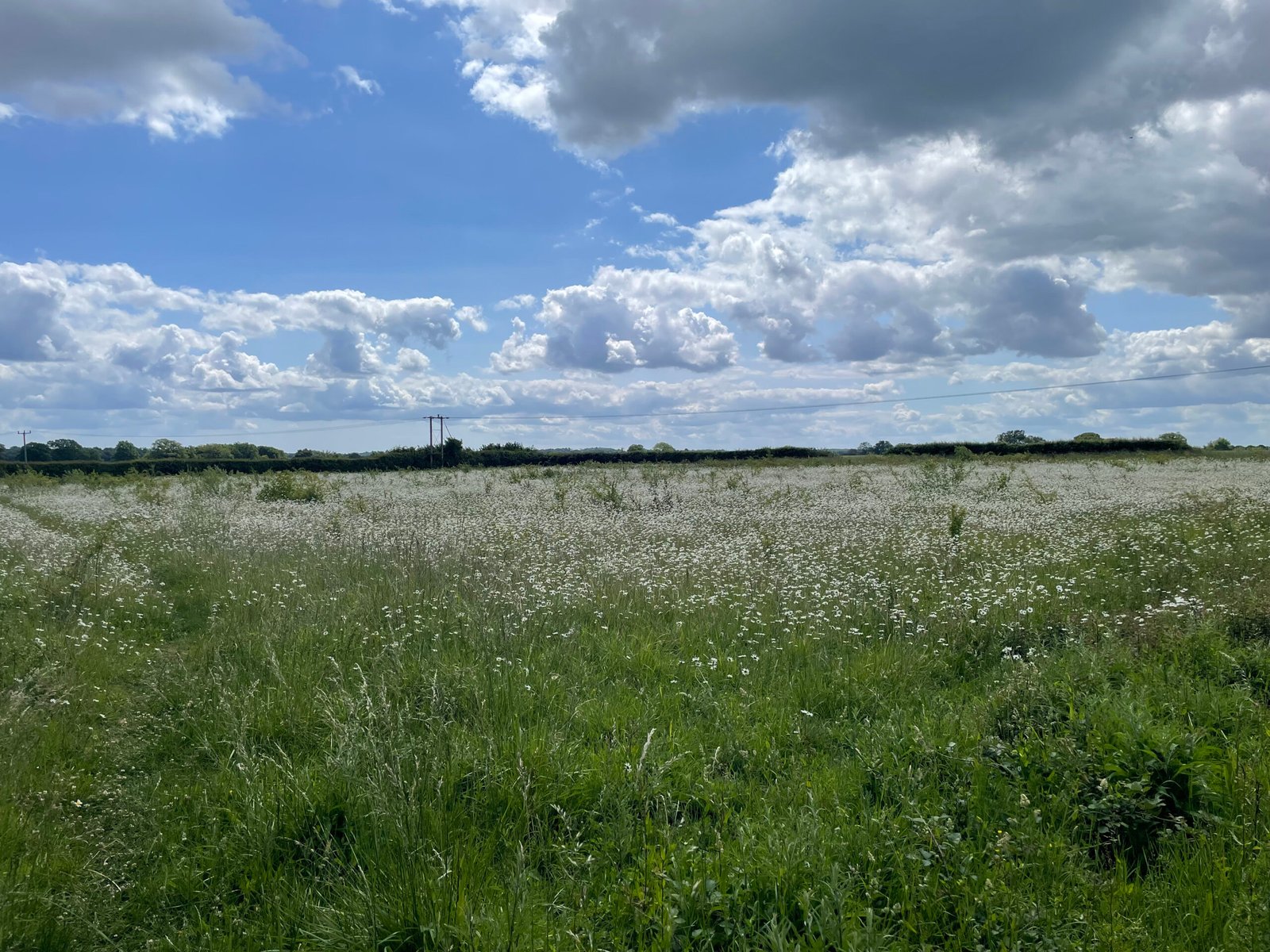 133db355-7dab-4348-99fa-1347ee1f3161