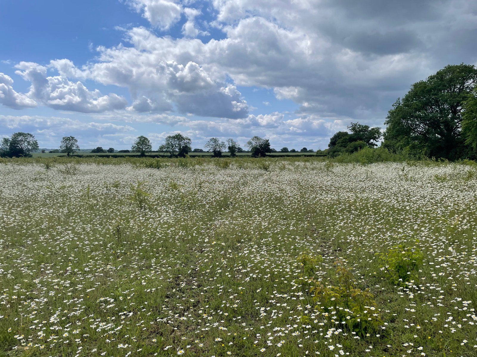 6f283a11-636e-40bd-8fd4-505b133e1a53