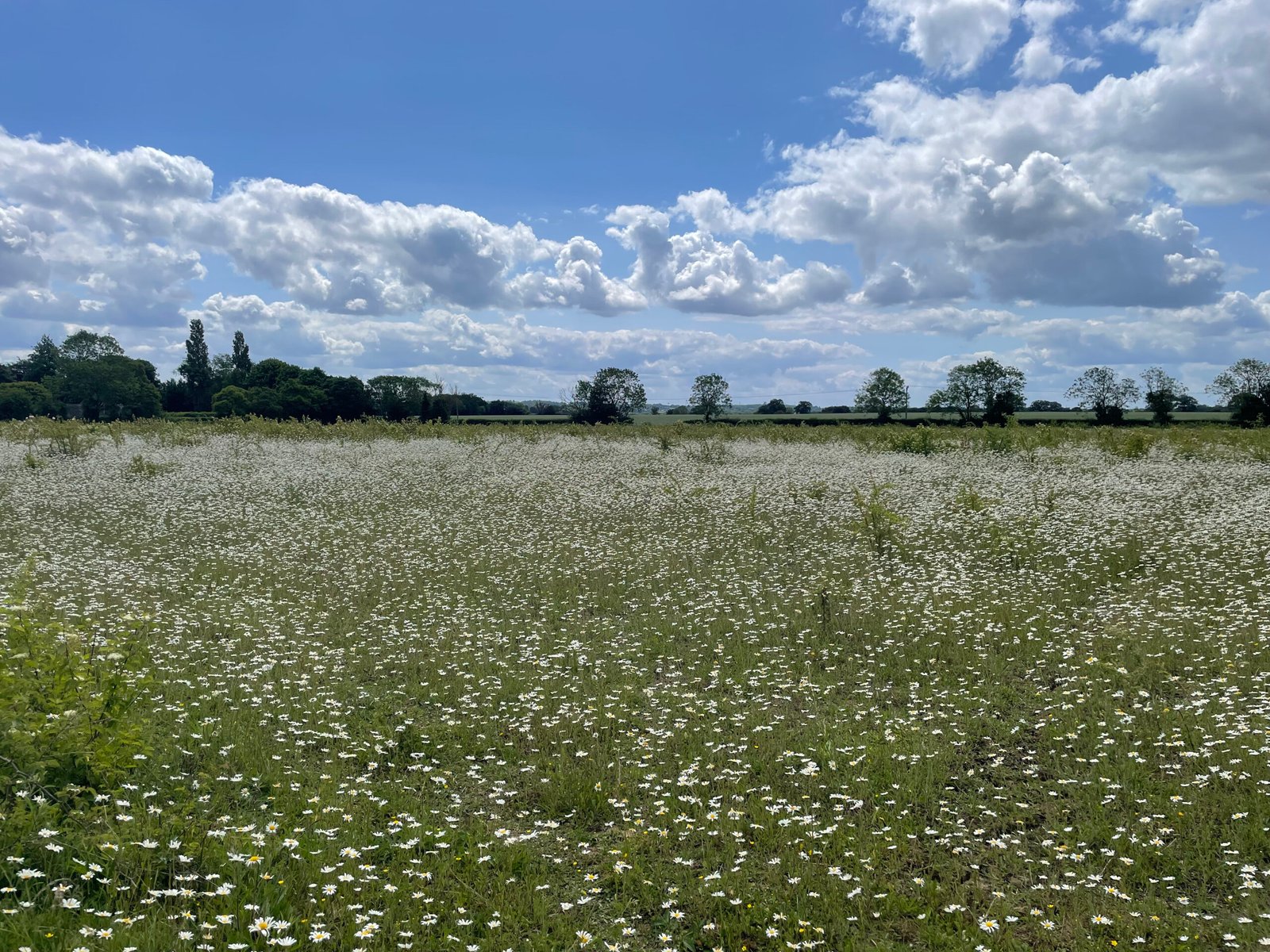 8266ef68-f728-463e-945c-20efb0da66ab