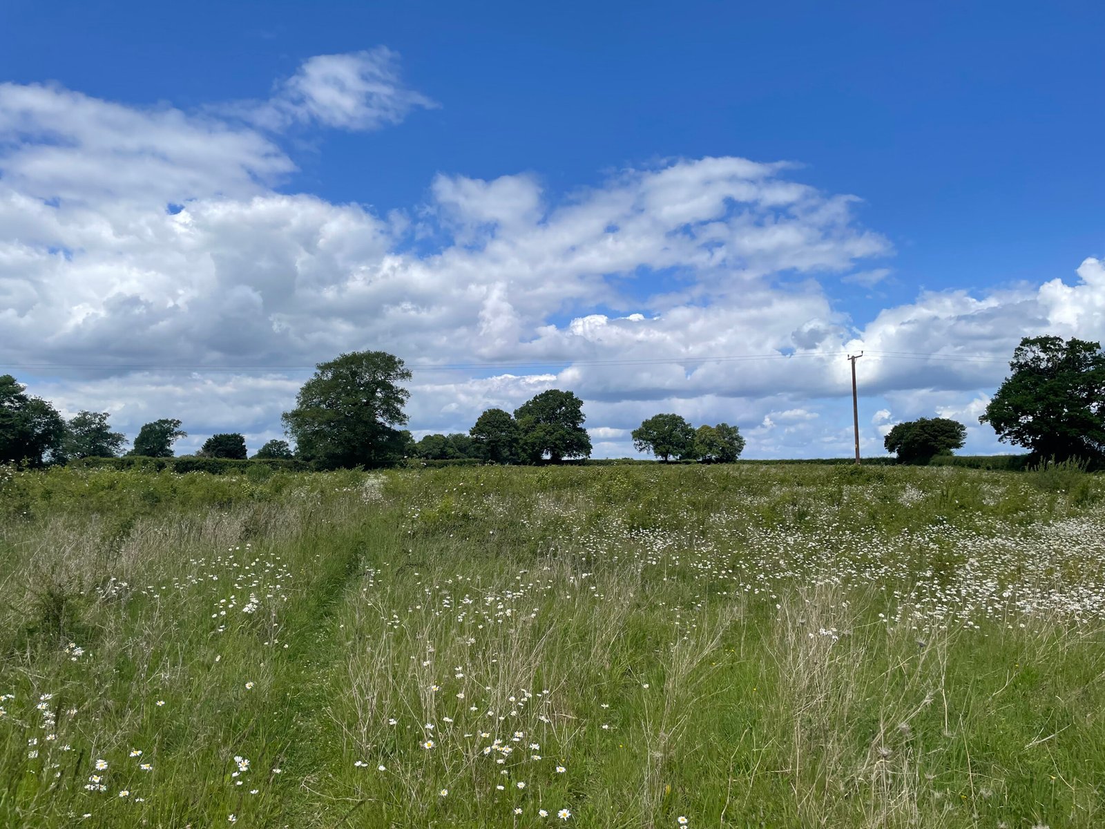 8ebe818e-db9d-4f90-b0fc-d060e9536f82