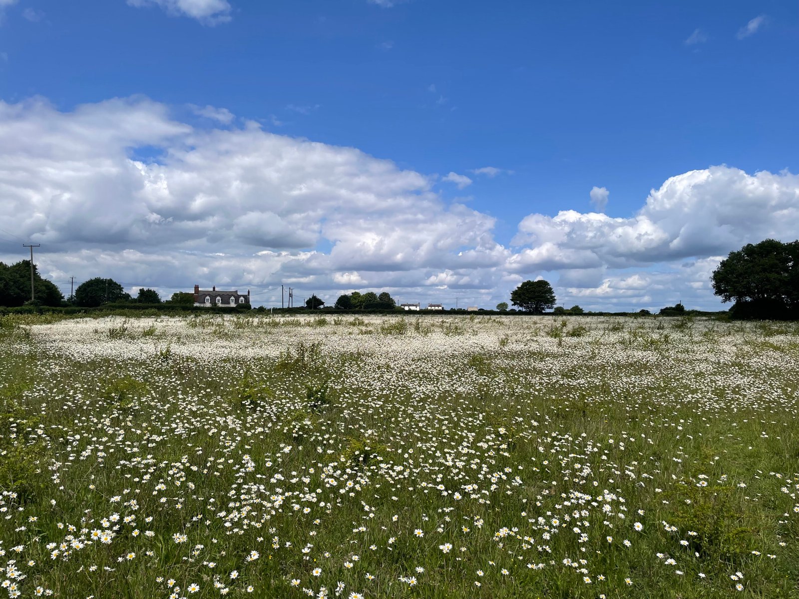 9bae2530-f524-41da-b6ba-06aeea3eb3ca