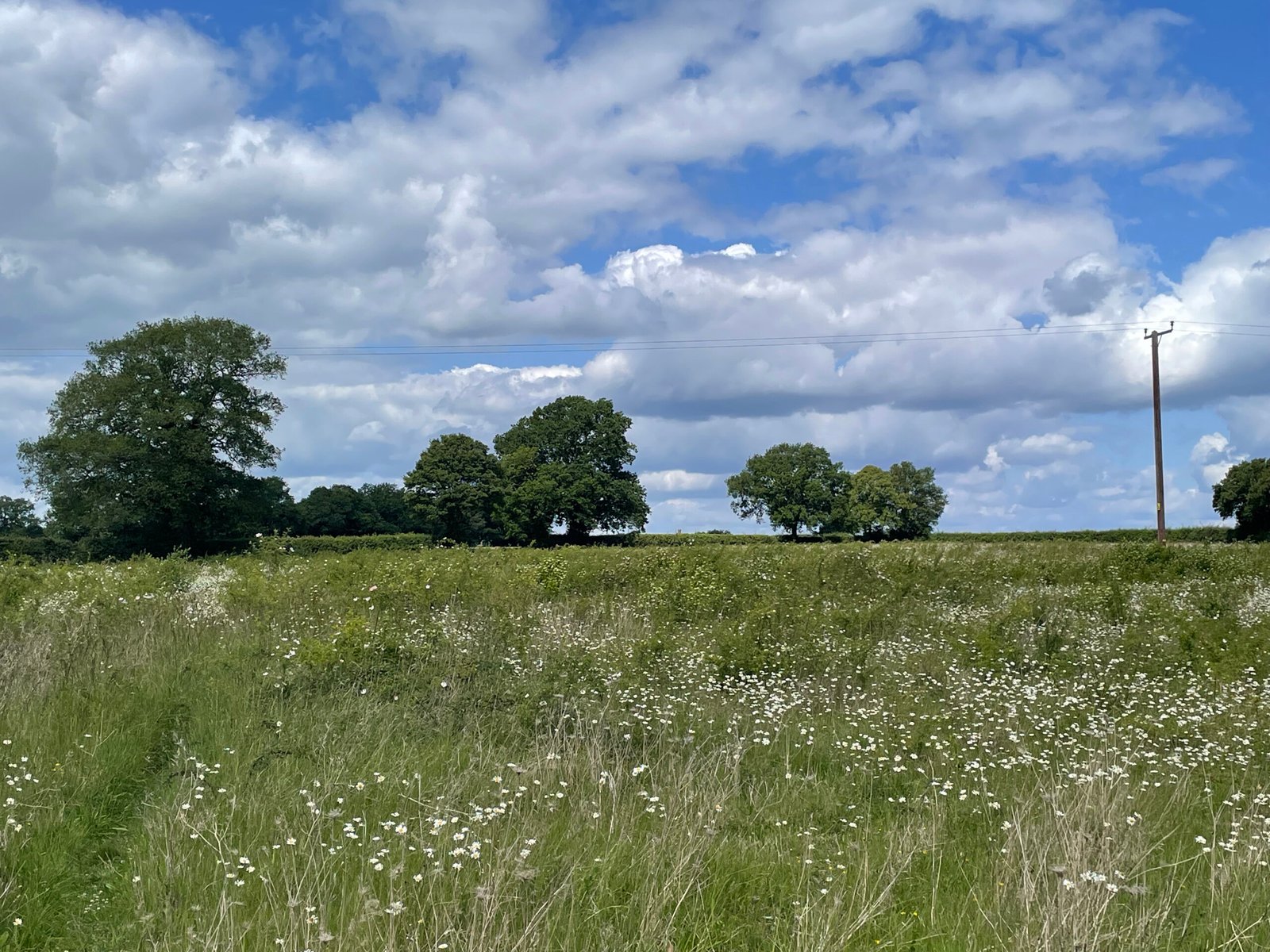 db83f081-c58b-4fe9-aa67-cac6a9fe412d